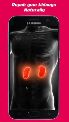 Repair Your Kidneys Naturally android App screenshot 4